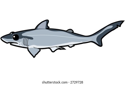 happy shark swimming