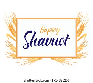 Happy Shavuot Card. Lettering vector illustration for the Jewish holiday of Shavuot. Wheat ears gold frame.