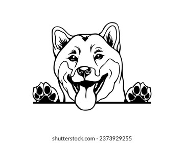 Happy Shiba peeking dog. Shiba inu dog portrait. Black and white vector illustration.