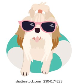 Happy shih tzu dog with sunglasses and floating ring, air mattress for summer