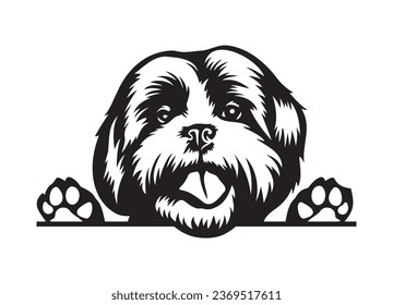 Happy Shih Tzu peeking dog. Shih Tzu portrait. Black and white vector illustration.