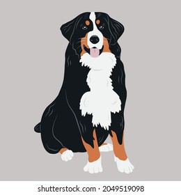 Happy Sitting Bernese Mountain Hund Illustration