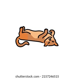 Feliz gato dormido en el icono de la línea de color posterior. Pictograma para página web, aplicación móvil, promoción.