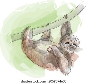 A happy sloth hanging from a tree, October 20 is the international day of the sloth. Vector illustration