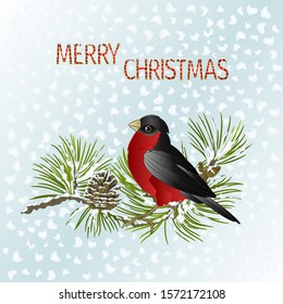 Happy  small bird bullfinch on a pine branch and pine  cones lettering Merry Christmas and New year  and snow  vintage vector illustration editable hand draw