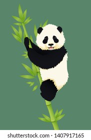 Happy smiling baby giant panda climbing green bamboo tree. Black and white chinese bear cub. Rare, vulnerable species.
