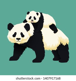 Happy smiling baby giant panda riding on the back of an adult panda. Chinese bear family. Mother or father and child. Rare, vulnerable species.