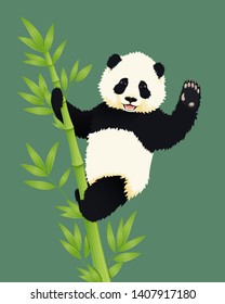 Happy Smiling Baby Giant Panda Climbing Green Bamboo Tree And Waving. Black And White Chinese Bear Cub. Rare, Vulnerable Species.