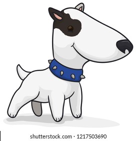 Happy smiling bull terrier with studded collar posing for a photo and waiting for its owner.