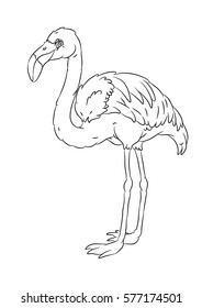 happy smiling cartoon standing flamingo coloring page