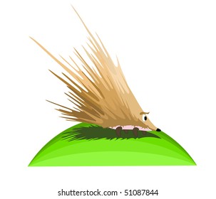 happy smiling hedgehog, illustration