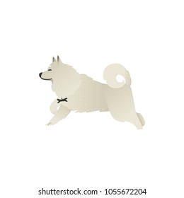Happy smiling white fluffy dog running isolated on white background. Beautiful cartoon style characters for card, banner with pets. Vector illustration.