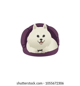 Happy smiling white fluffy dog lying in dog bed and showing tongue isolated on white background. Beautiful cartoon style character for card, banner with pets. Vector illustration.