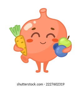 Happy stomach character with vegetables cartoon illustration. Healthy human organ with cute face holding carrot, apple and berries isolated on white background. Nutrition, digestive system concept