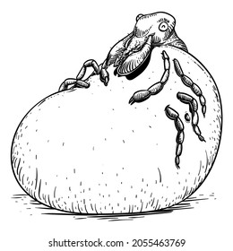 Happy and stuffed tick with its body full of blood. Illustration in hand drawn style.