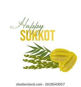Happy Sukkot. Decorations for the Jewish holiday of tabernacles with etrog, lulav, arava, hadas. Vector illustration