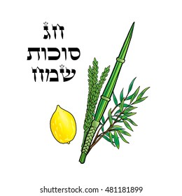 Happy Sukkot Festival background. Hebrew translate: Happy Sukkot Holiday. Jewish traditional four species lulav etrog for Jewish Holiday Sukkot Israel Vector card Sukkah Rosh Hashanah 5783 celebrate