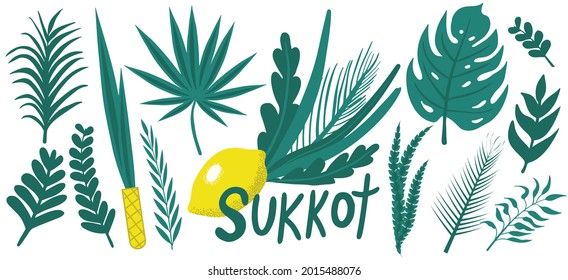 Happy Sukkot Pflanzen handgezeichnet. Sammlung mit Erog, Lulav, Arava, Hadas. Einzeln auf weißem Hintergrund. Vektorgrafik