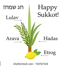 Happy sukkot set  educational icons, with inscription. Collection  objects, elements for Jewish Feast of Tabernacles with etrog, lulav, Arava, Hadas. Isolated on white background. Vector illustration