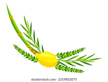 Happy Sukkot symbols. Four species etrog, lulav, willow and myrtle branches.