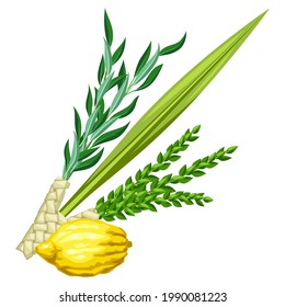 Happy Sukkot traditional symbols. Four species etrog, lulav, willow and myrtle branches.