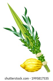 Happy Sukkot traditional symbols. Four species etrog, lulav, willow and myrtle branches.