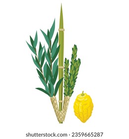 Happy Sukkot traditional symbols. Sukkot set of herbs and spices of the etrog, lulav, Arava, Hadas. Isolated on white background. Vector illustration