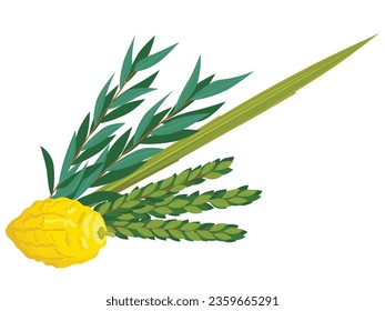 Happy Sukkot traditional symbols. Sukkot set of herbs and spices of the etrog, lulav, Arava, Hadas. Isolated on white background. Vector illustration