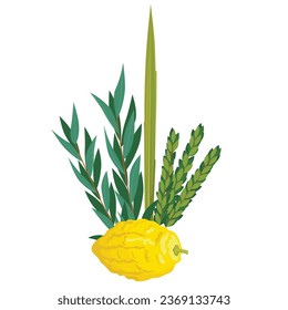 Happy Sukkot traditional symbols. Sukkot set of herbs and spices of the etrog, lulav, Arava, Hadas. Isolated on white background. Vector illustration