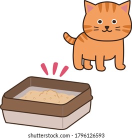 Feliz gato tabby después de hacer su negocio. Aislado sobre fondo blanco.
