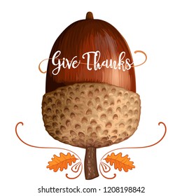 Happy Thanksgiving acorn on white background with calligraphy quotes Vector illustration