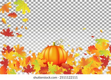 Happy Thanksgiving with autumn leaves, pumpkins.Maple background.Vector illustration.