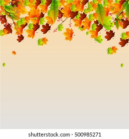 Happy Thanksgiving banner. Thanksgiving background. Vector autumn leaves. 