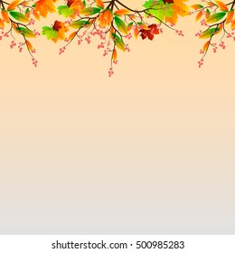 Happy Thanksgiving banner. Thanksgiving background. Vector autumn leaves. 