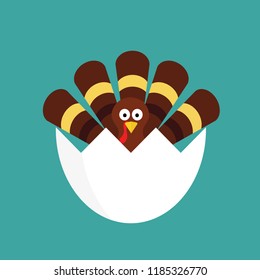 Happy thanksgiving celebration icon. Thanksgiving turkey cartoon in cracked egg. Vector illustration