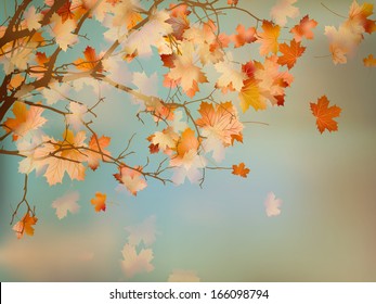 Happy Thanksgiving Day background with beautiful autumn maple leaves. And also includes EPS 10 vector