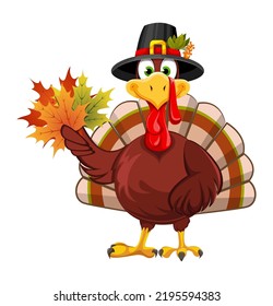 Happy Thanksgiving Day. Funny Thanksgiving Turkey bird in pilgrim hat holding maple leaves