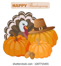 Happy Thanksgiving Day greeting card with traditional turkey and pumpkins in pilgrim hats. Thanksgiving card with pumpkins for discounts and sales stickers.  