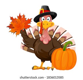 Feliz día de Acción de Gracias, tarjeta de felicitación. El gracioso personaje de caricatura Thanksending Turkey sostiene hojas de arce. Ilustración del vector aislada en fondo blanco