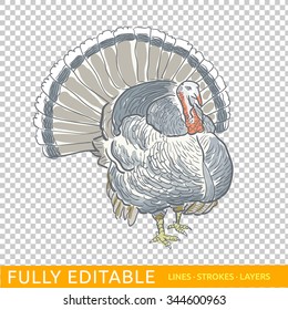 Happy Thanksgiving Day  Thanksgivings turkey  Editable strokes vector for easy changing design  Transparent background 