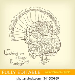 Happy Thanksgiving Day  Thanksgivings turkey  Editable strokes vector for easy changing design 