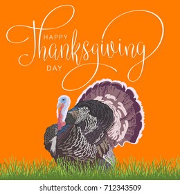 Happy thanksgiving day with turkey. Handmade vector illustration