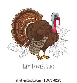 Happy Thanksgiving day with turkey, poster and greeting text vector. Leaves and maple foliage monochrome sketches outline, domestic animal mascot