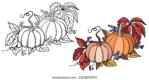 Feliz Día de Acción de Gracias Tarjeta de Bienvenida. Calabazas maduras y hojas de otoño. Imagen vectorial.