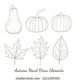 happy thanksgiving greeting elements hand drawn with pumpkins, butternut squash, maple leaves or leaf Vector illustration for Thanksgiving autumn, harvest festival. Template for poster, banner, cards
