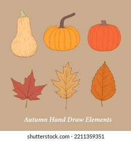 happy thanksgiving greeting elements with pumpkins, butternut squash, maple leaves or leaf Vector illustration for Thanksgiving autumn, harvest festival. Template for poster, banner, cards
