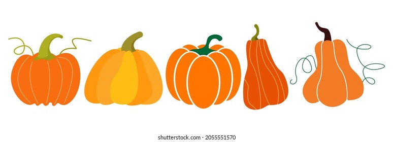 Happy Thanksgiving Pumpkin Icon Illustration Fall Autumn Harvest Thanksgiving Illustration 