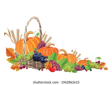 Happy Thanksgiving realistic still life with pumpkin, grapes and autumn harvest. Traditional festival. Vector template for poster, cards, invitations and menus.
