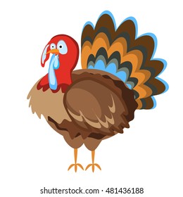 Happy Thanksgiving Turkey character. Holiday celebration harvest food thanksgiving turkey traditional meal. Autumn dinner fall cartoon thanksgiving turkey happy poultry pilgrim. Thanksgiving holiday.