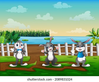 Happy three bunnies in the farm illustration